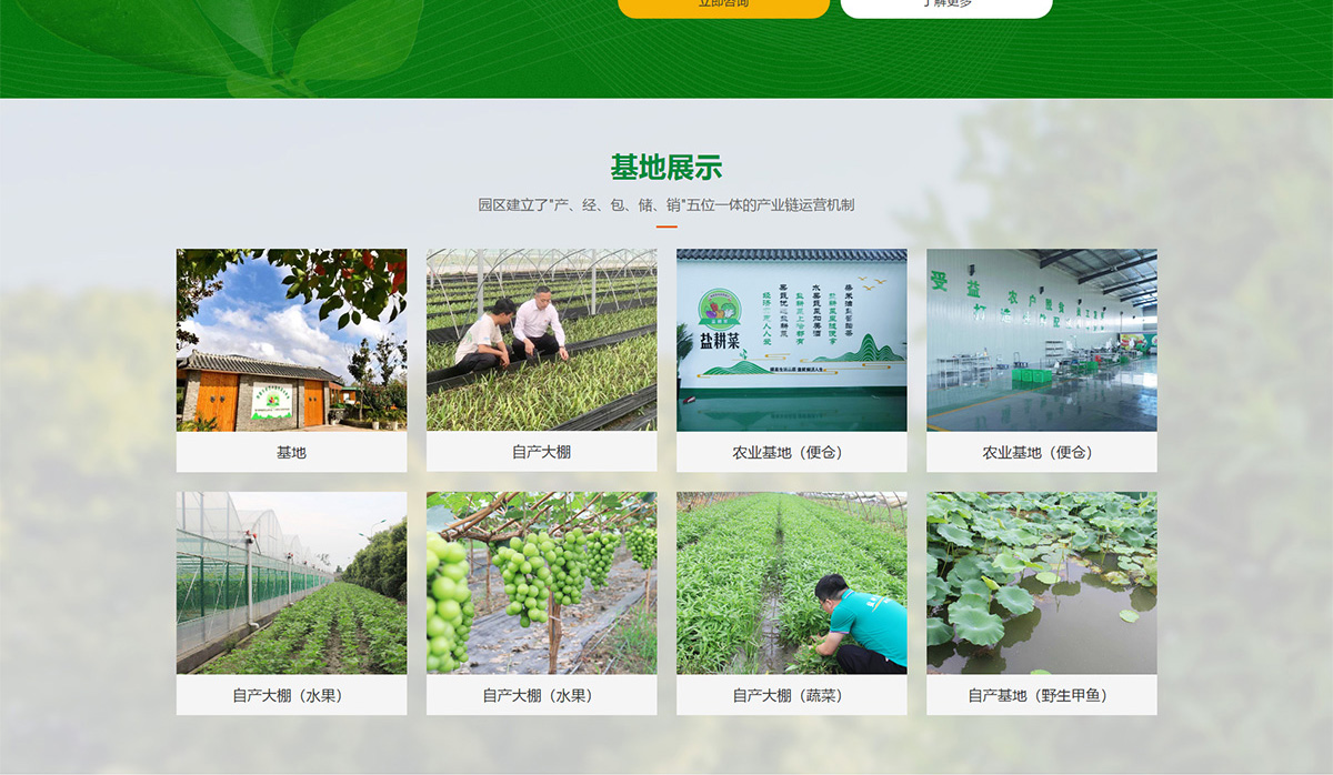 江苏盐耕菜农业科技发展有限公司2_03.jpg