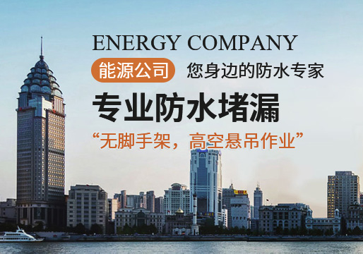 江苏某能源公司代运营